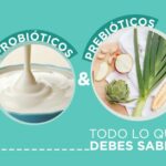 Comparación entre el yogur con probióticos y sin probióticos: beneficios