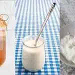 Comparación entre kombucha y kéfir: beneficios probióticos