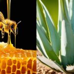 Diferencias entre la miel de abeja y la miel de agave: ¿cuál es mejor?