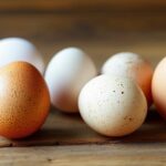 Diferencias entre los huevos de gallina y los de codorniz: ¿cuál elegir?