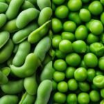 Comparación entre el edamame y los guisantes: beneficios