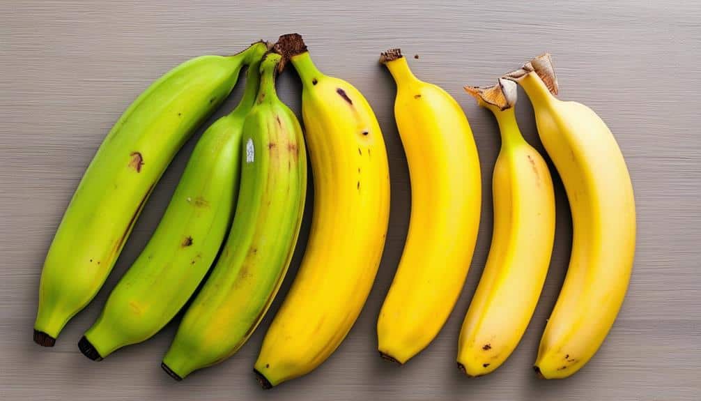 plantains vs bananas comparison