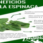 Propiedades De La Berza Vs. Espinacas: comparación nutricional