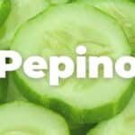 Propiedades del pepino inglés frente al pepino americano: comparación