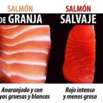 Propiedades del salmón salvaje frente al salmón de piscifactoría: beneficios